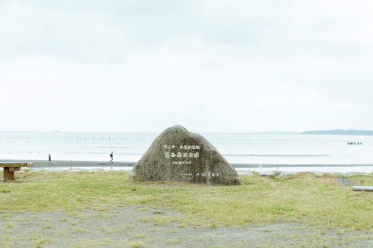 【おさかなプロジェクト】東京の海を知る・おさかなプロジェクト合同プログラム 「ラムサール条約登録湿地の人工干潟を訪ねる」を開催しました