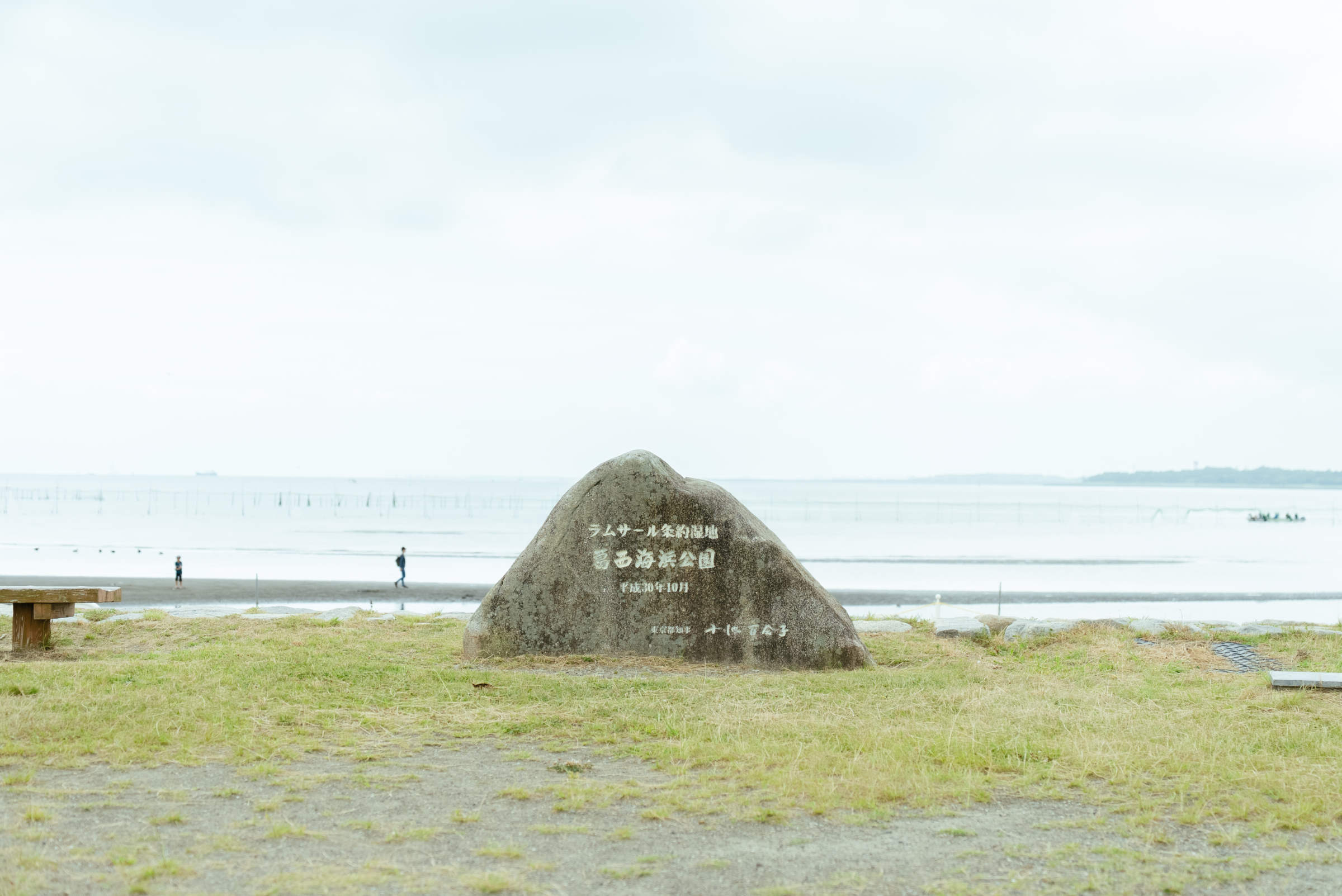 【おさかなプロジェクト】東京の海を知る・おさかなプロジェクト合同プログラム 「ラムサール条約登録湿地の人工干潟を訪ねる」を開催しました