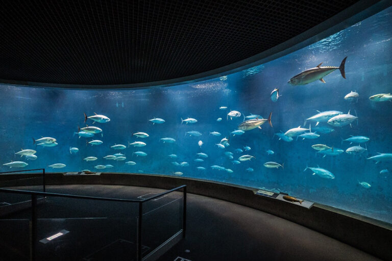 水槽づくりの舞台裏から見る「水の中の環境をつくる技術」